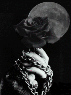 Gif animé gothique rose rouge